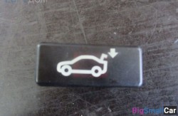 Кнопка багажника (61 Общее э/оборудование автомобиля) 61319200316 - купить Алябьево