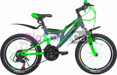 Дорожные велосипеды PIONEER TRIUMPH 20/13 gray-green-black - купить Алябьево